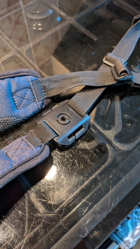 PXL_20240620_194859200.MP