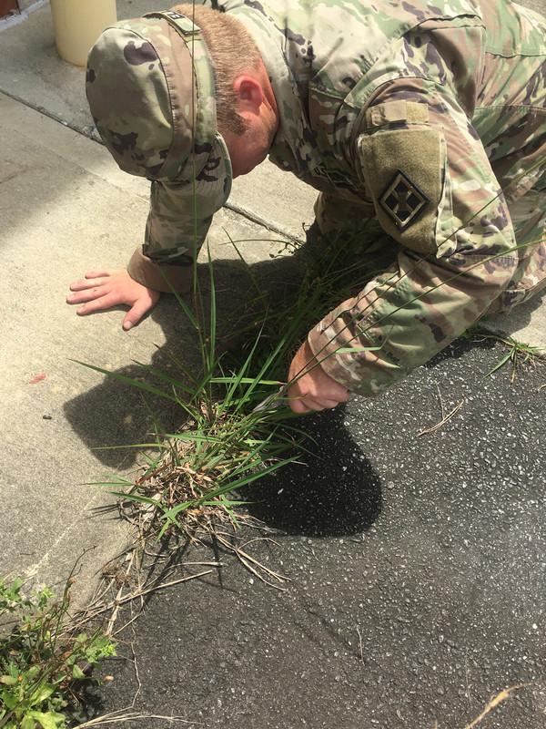 CD8A3385-E317-49C9-A071-DDB1B8918003