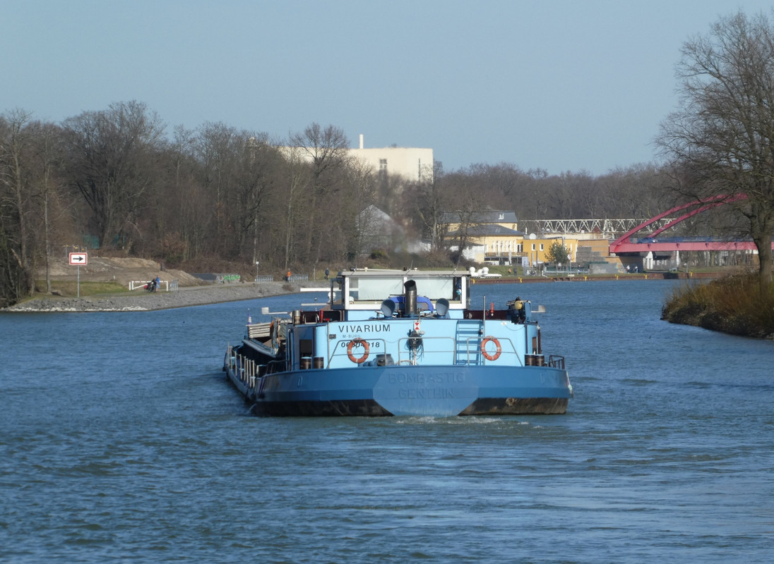 2021.02.24a Vivarium