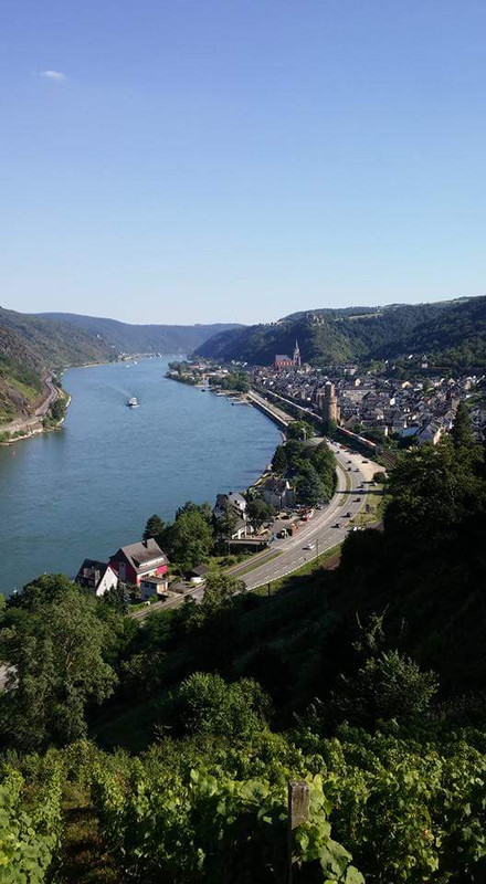 FB_IMG_1471466438411