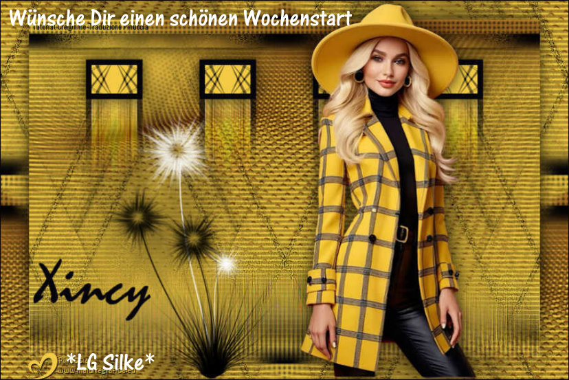An den Beitrag angehängtes Bild: https://i.postimg.cc/DZdr0z3h/xincy.jpg