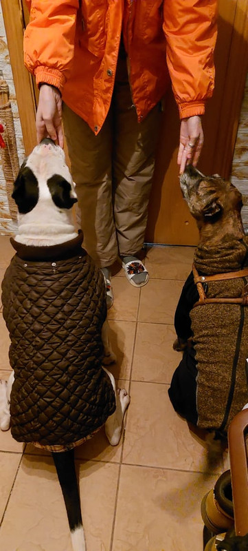 A3481FC3-24B4-4A89-937A-7AE58FC8F6D1