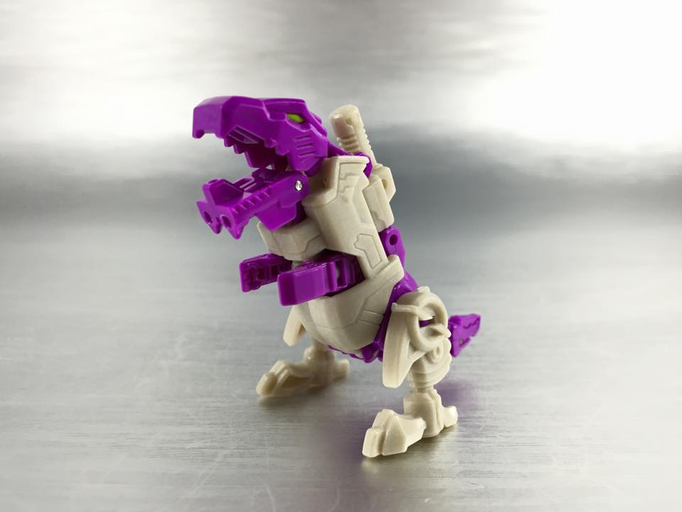 13501619_876018692525537_5618354199776086826_n