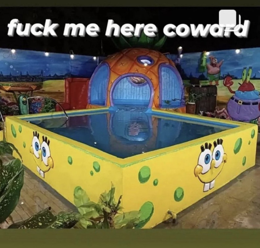 meme as describe in the fic: spongebob indoor pool with spongebob characters on the walls surrounding it with the words “fuck me here coward” across the top