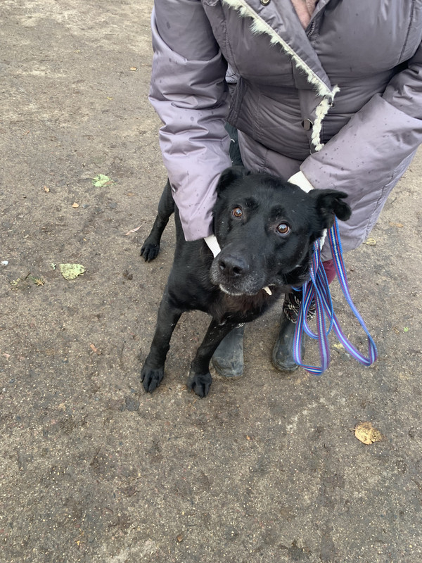 DD74B70C-F156-4E97-9830-24D8BFB0BCC0