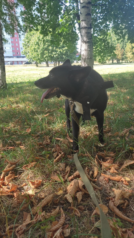 63368C6A-C6F1-4E1B-A59D-6007F9969651