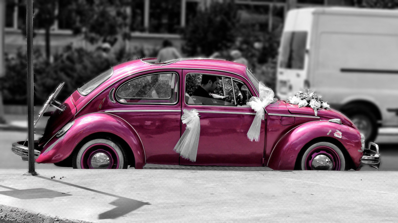 pinkweddingbeetle.jpg