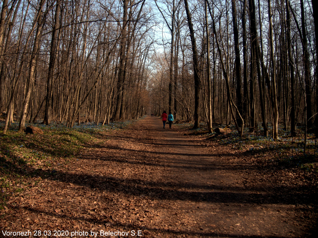 Воронеж, весна, Олимпик Воронеж, весна, Олимпик