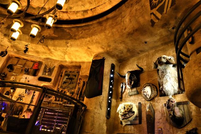DOK-ONDAR DEN OF ANTIQUITIES: Tienda-museo para amantes de Star Wars - DISNEYLAND ~ STAR WARS: GALAXY'S EDGE, LA GUIA (18)