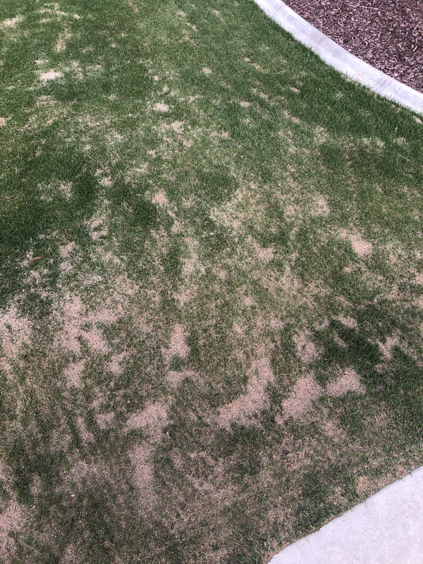 427F5E5C-25FF-4016-91BA-D40322B0C780