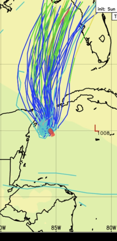 CF2E08E4-C16A-49A5-83DC-AE381394C86B