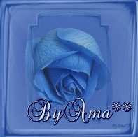 Rosa Azul de El Cairo T-Zy-I9-AAvd-FLE-1