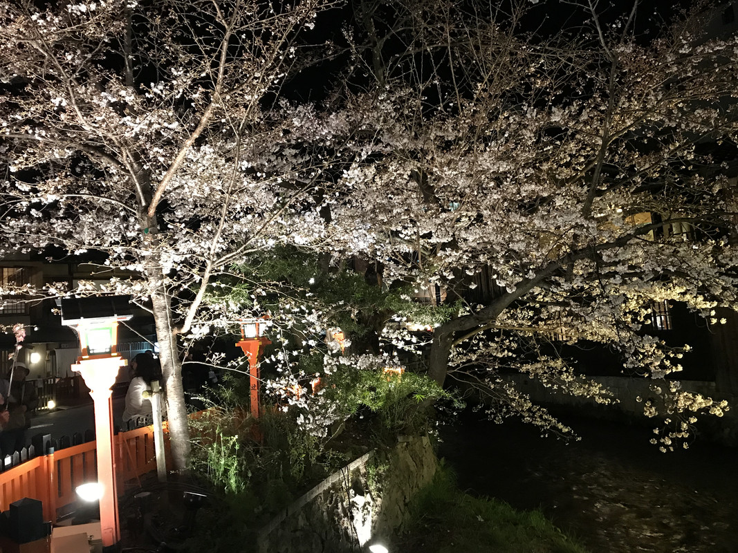 46DF1074-65B4-408A-8F31-B69561EFB396