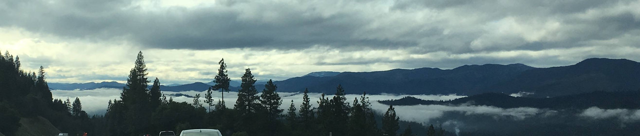 D06E817B-AECF-4903-A4B6-E9072DEEC82C