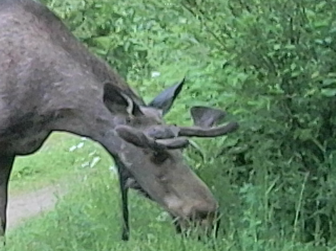 FEDBAF5F-8B3A-404D-BE43-E342EDCC31DE