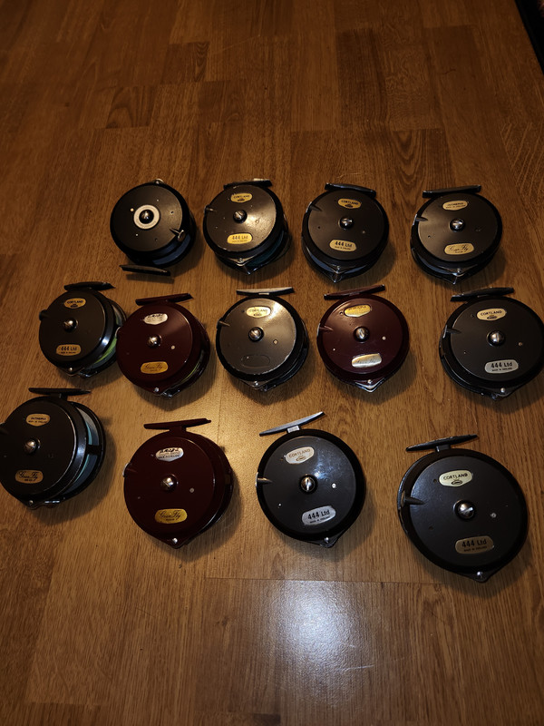 17063166868496938835352149560475