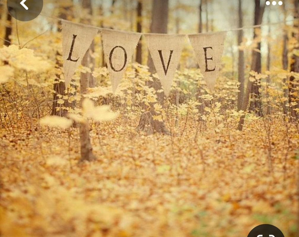 Screenshot_20240214_175324_Pinterest