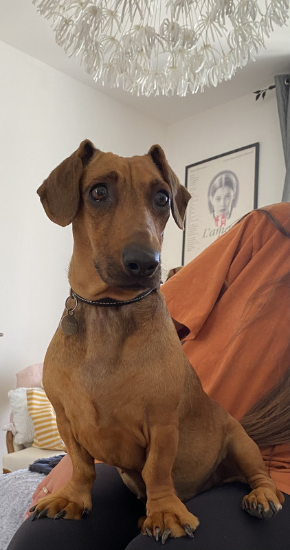 [Image: F9-B17-AEF-2743-44-BC-AC51-5-F2236-EF3344.jpg]