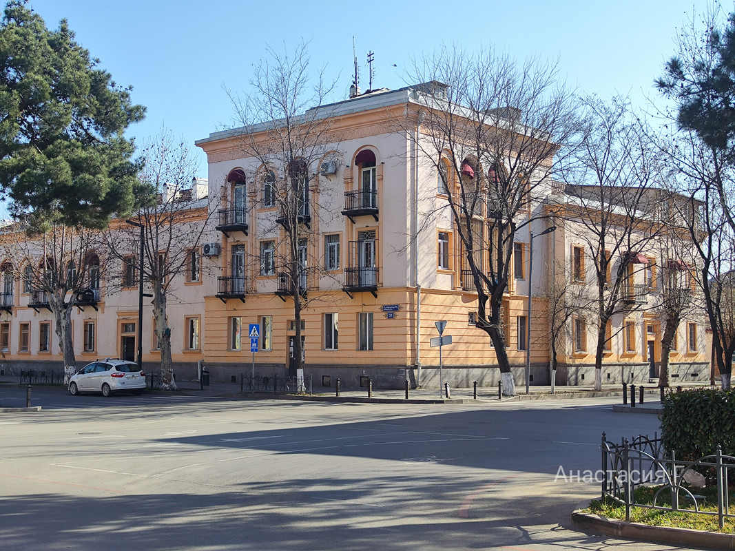 Небольшая весенняя прогулка в городке Рустави (март 2025) Небольшая весенняя прогулка в городке Рустави (март 2025)