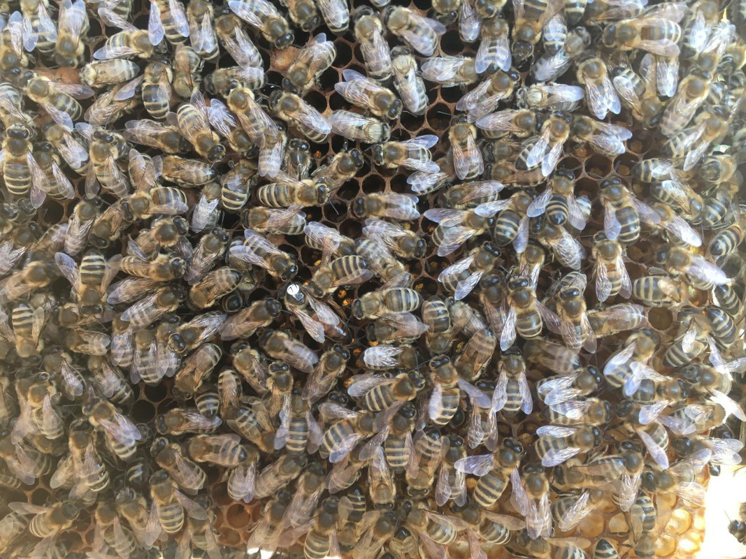 431244A8-2332-462D-AB19-1FF74188C699