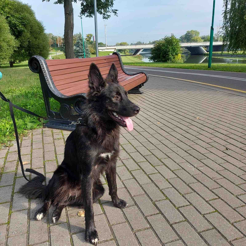 A10A9023-9795-45CE-8779-8FC2BCB42379