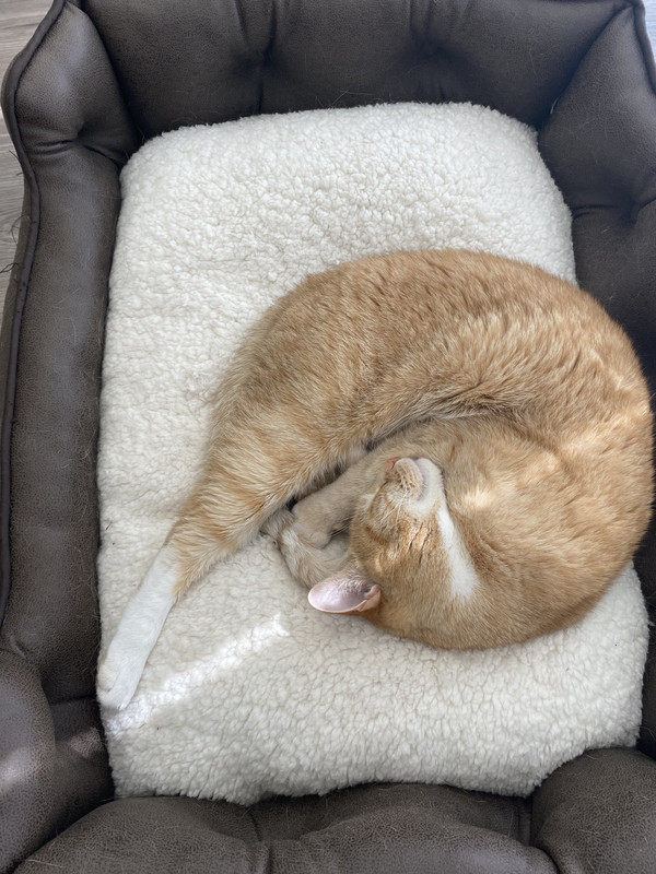 612B1C2A-5F45-4BAF-851C-1AA41FF50784