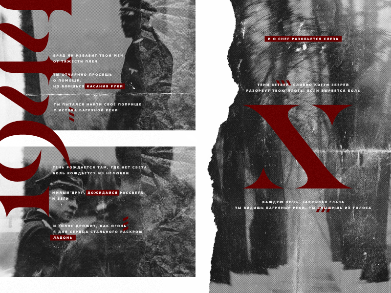 https://i.postimg.cc/DZjLf8Rj/vichy-ep.png