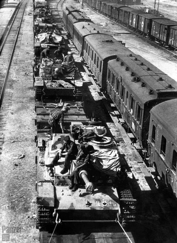 Five StuGe Ausf. G loaded on flat cars, from SS-Sturmgeschütz-Ab