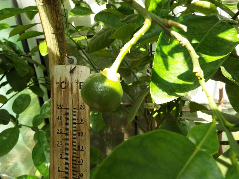 441e7704c56d2328145c2657e0cbddf1bcbf14341887018