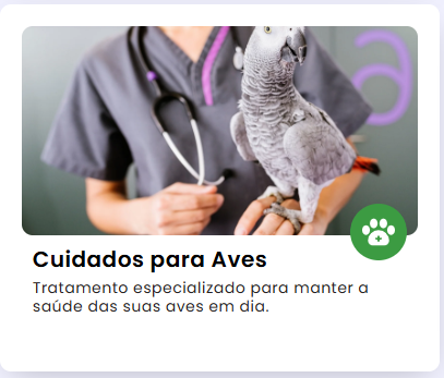 Imagem 6
