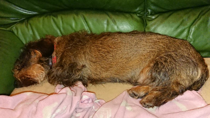 [Image: DSC-3603.jpg]