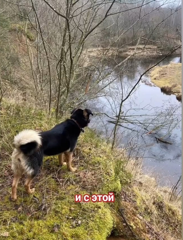 Cg NUx IKW4Tn Ju ACRR8qc GG7GOEHf R2j Fly ZK0t Zain C j Ux B Hd GTia Jz50037V8DGnx Hr6KYcb3dq Cm ECV