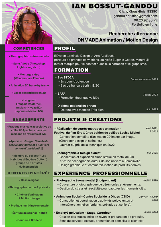 cv bossut gandou ian cfa juin2026