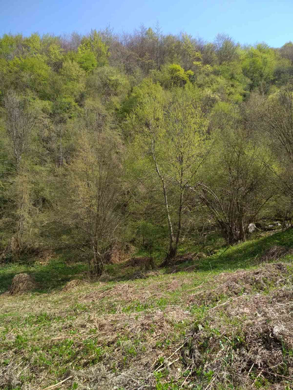 3F49F037-97B9-4625-91D5-D77C69B868C0