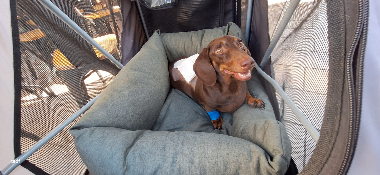 [Image: 20250815-172824.jpg]