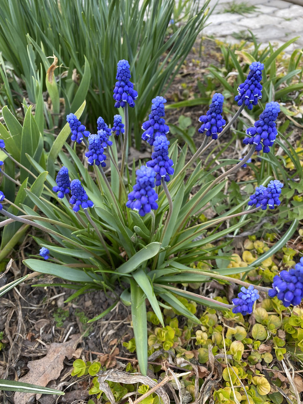 29B229BA-5694-41E3-900F-A45459958550