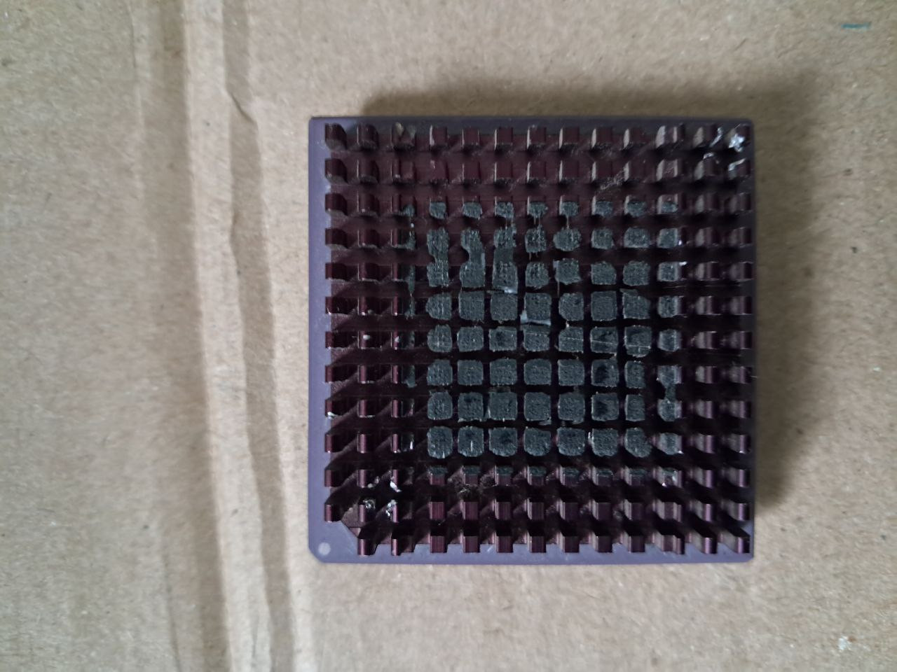 photo 2026 02 13 10 52 48