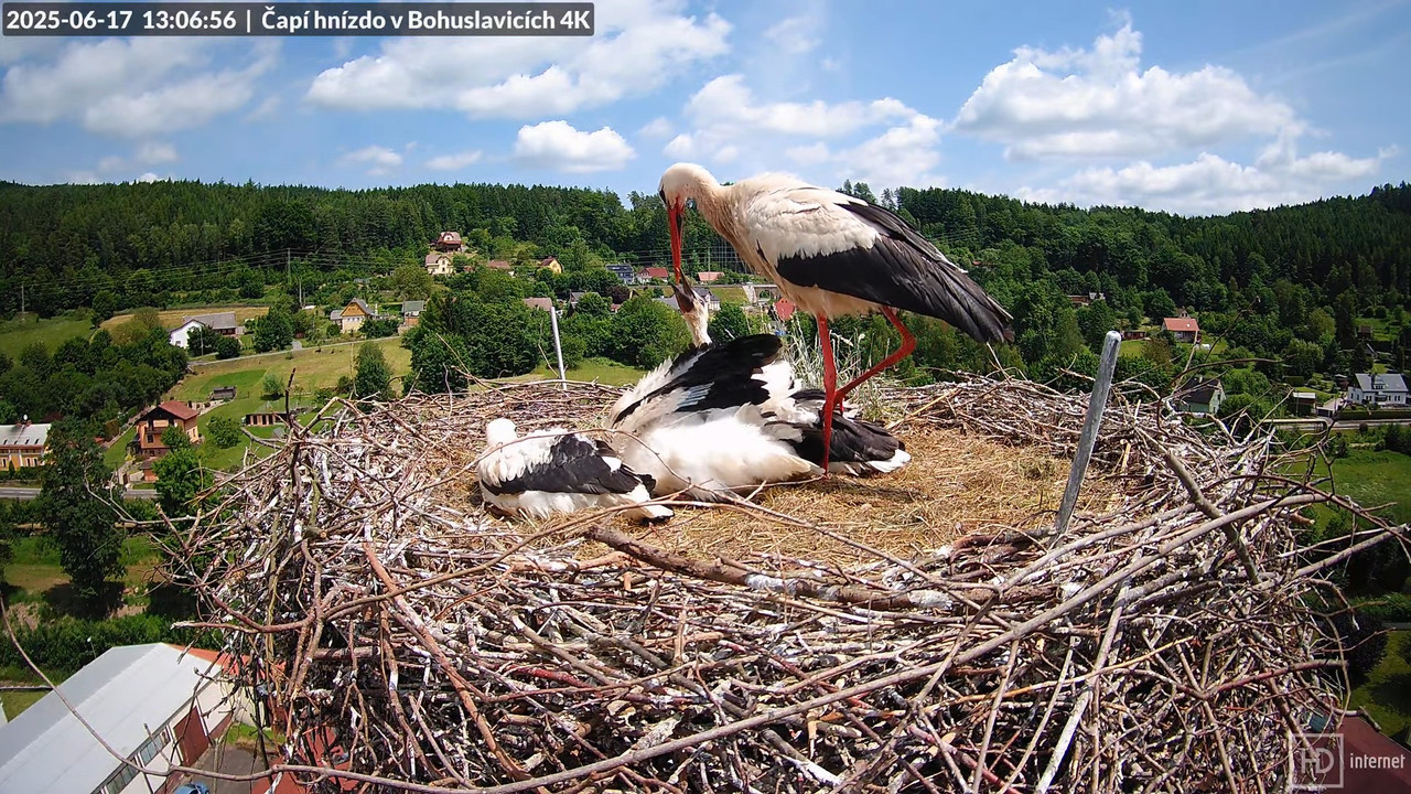 Tiešraide no KARA uzņēmuma stārķu skursteņa Bohuslavicē netālu no Trutnovas 14-32-12 screenshot