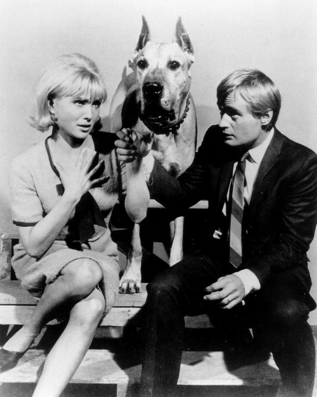 susan_oliver_a03