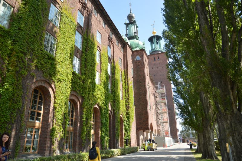 Finlandia con finlandeses y un poco de Estocolmo - Blogs de Finlandia - Día 10: Estocolmo: Gamla Stan, Kungsholmen y Djugarden (6)