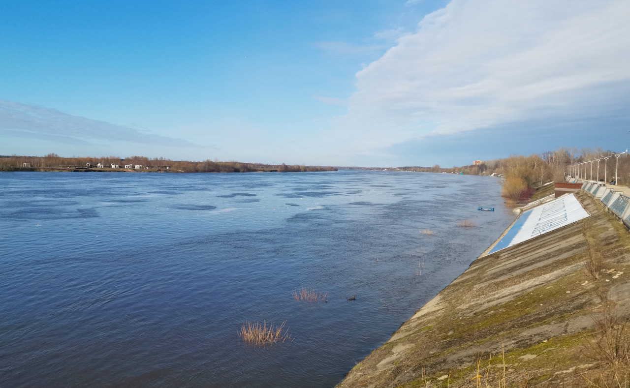 IMG_20230331_164538 поводок в районе комсомольской набережной