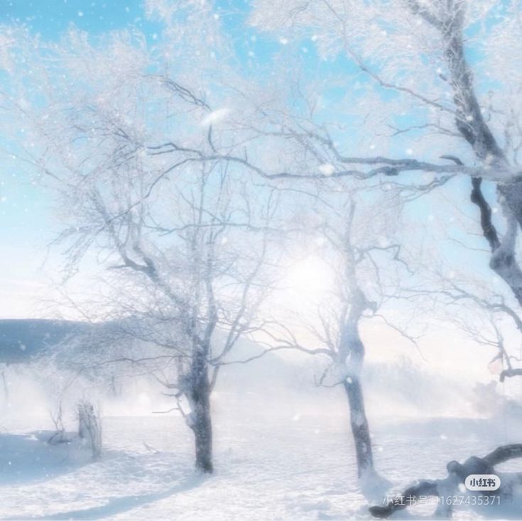 c202b4a36a19d5a0816e0190038db9f2