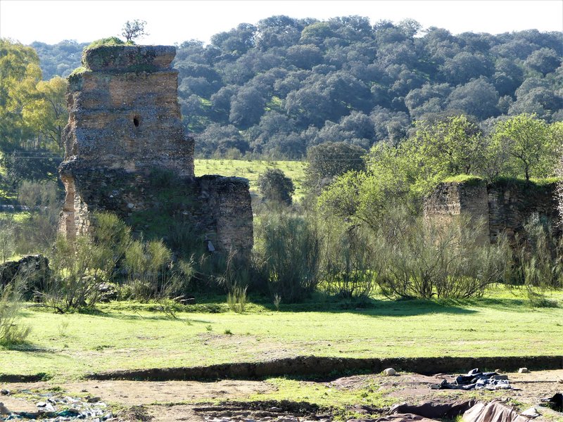 PARQUE NACIONAL DE MONFRAGÜE-2020/2023 - Extremadura y sus pueblos -2010-2023 (29)
