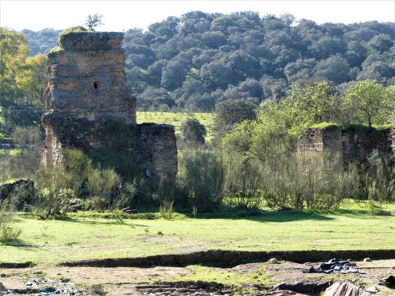 PARQUE NACIONAL DE MONFRAGÜE-2020/2023 - EXTREMADURA Y SUS PUEBLOS -2010-2023 (29)