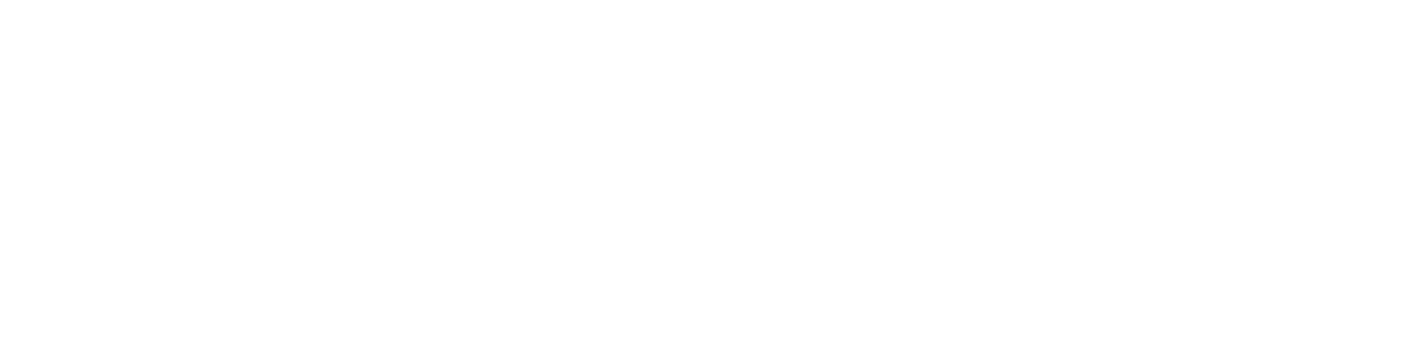 logo bnt77