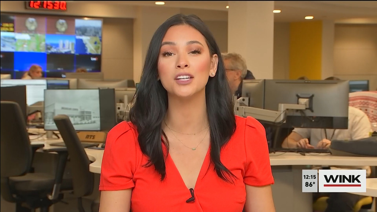 11.01 - 16.00.00 - The WINK Noon News  ᴺᵉʷ. Midday news update..ts_snapshot_21.35.748