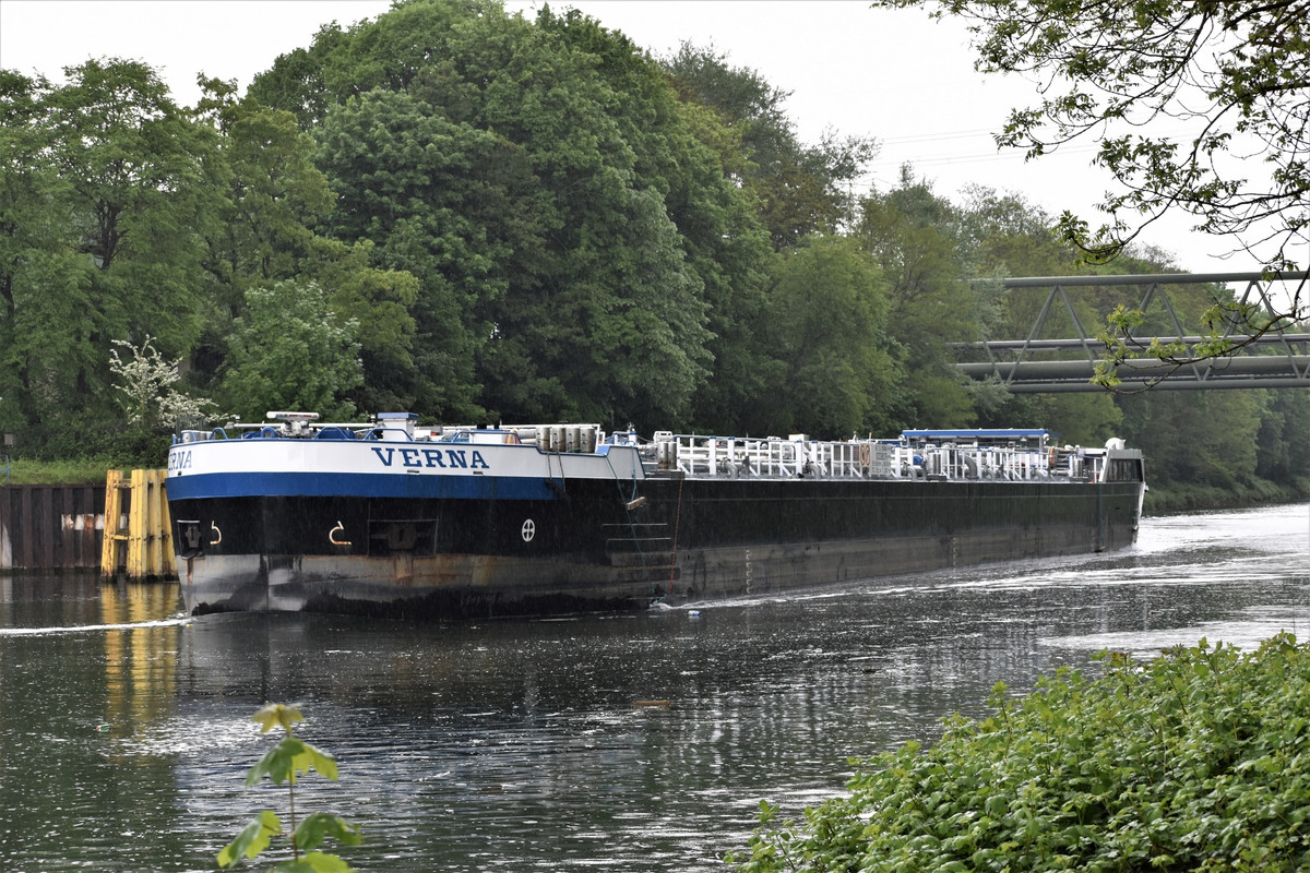 2023.05.11b2 Verna (1940x1293)