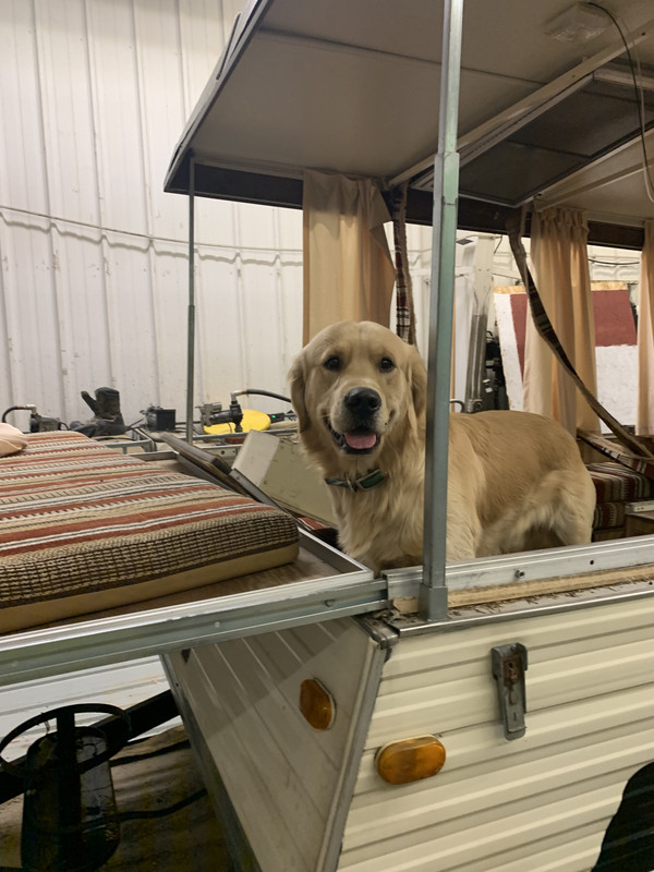 E6896A9D-0613-48CE-B37B-39802C8205AA