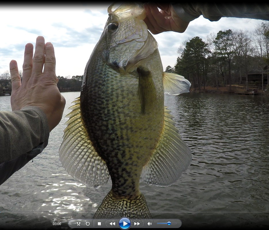 2-8-crappie2-b.png