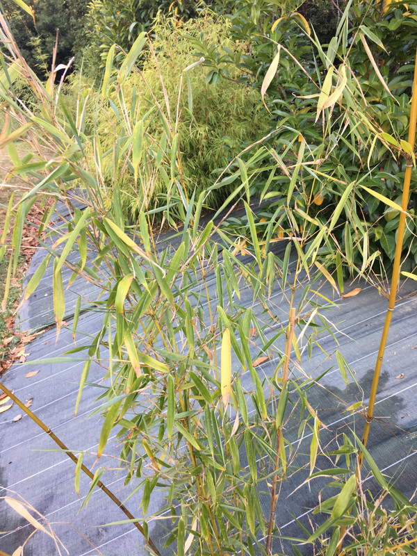 10D57492-9A9A-4A84-AA3D-735EE5FD1154